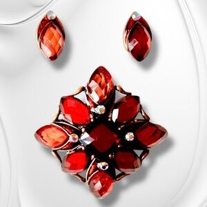 Vintage Brooch and earrings set. NWT